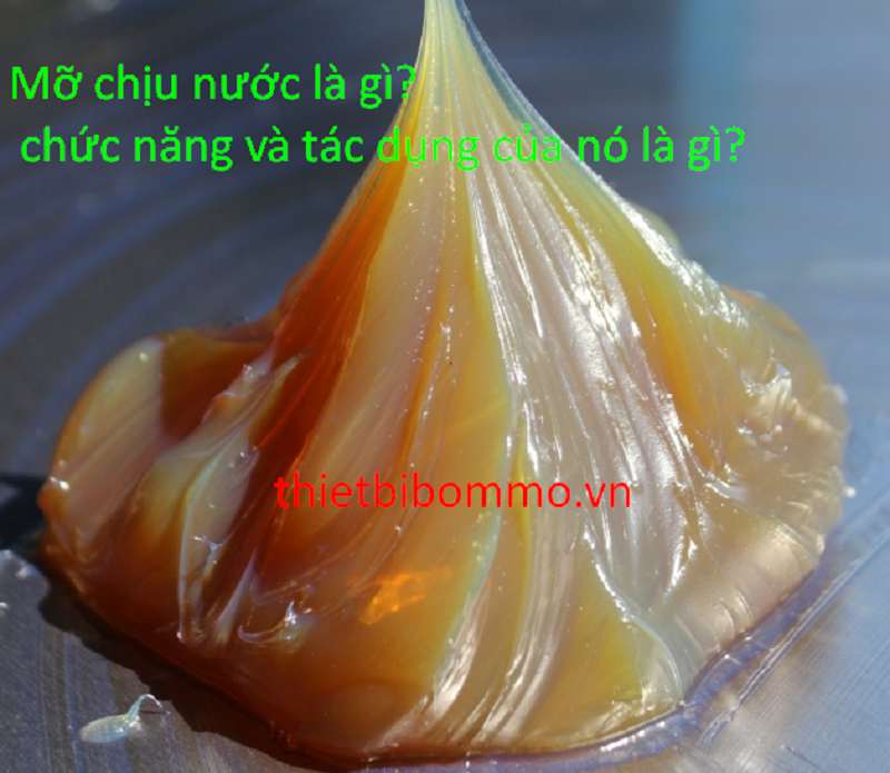 Mỡ chịu nước là gì? chức năng và tác dụng của nó là gì?