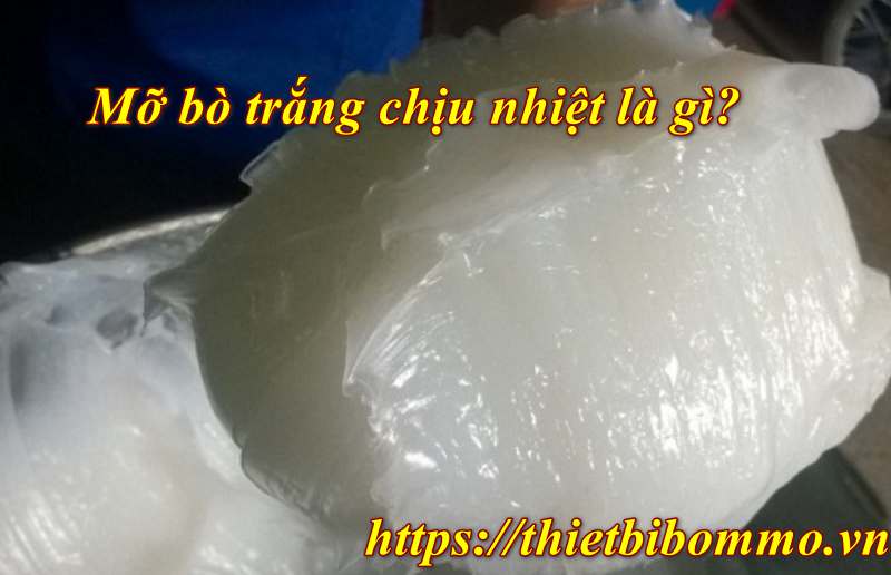Mỡ bò trắng chịu nhiệt và 3 Ưu điểm nổi bật bạn không nên biết