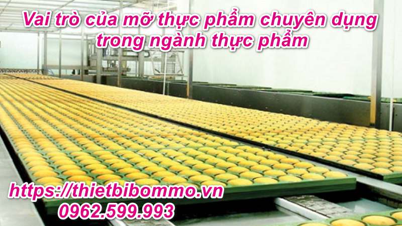 Mỡ thực phẩm chuyên dụng và 3 Tiêu chuẩn an toàn thực phẩm cần có