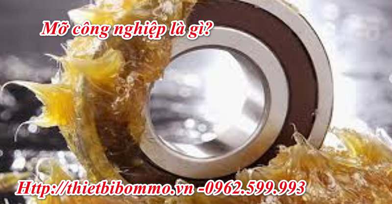 3 Lý do nên sử dụng mỡ công nghiệp ngay hôm nay