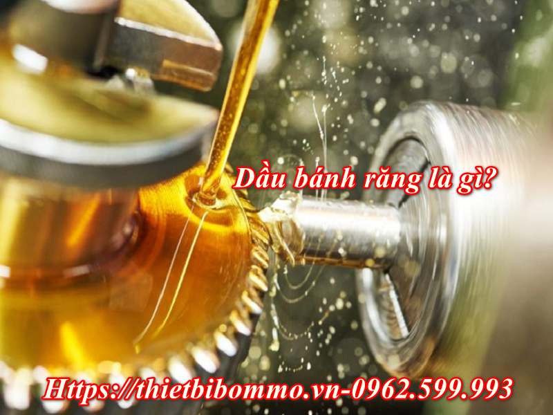 Dầu bánh răng là gì? 3 Lưu ý khi sử dụng bạn cần biết